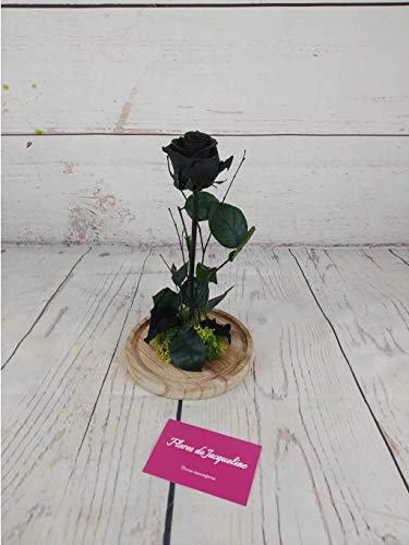Rosa Negra Eterna La Bella y La Bestia - Flores de Jacqueline Valencia