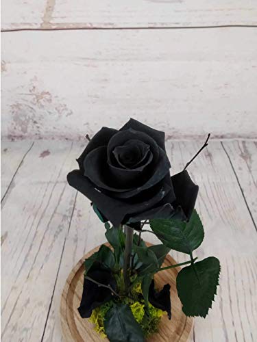 Rosa Negra Eterna La Bella y La Bestia - Flores de Jacqueline Valencia