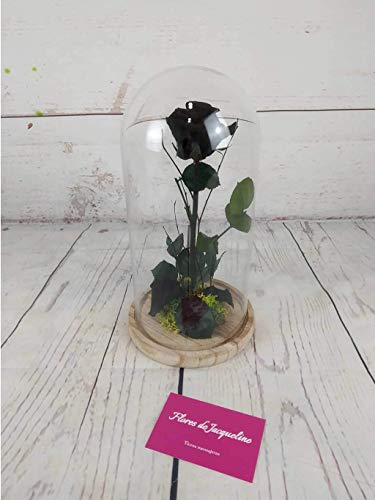Rosa Negra Eterna La Bella y La Bestia - Flores de Jacqueline Valencia