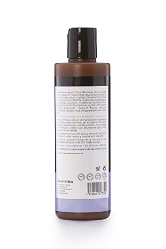 The Old Wise - Champú Nº1 anticaída NATURAL, ECO y VEGANO
