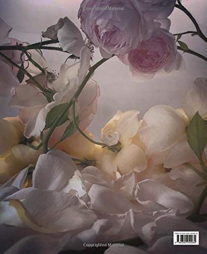 The Rose in Fashion: Ravishing