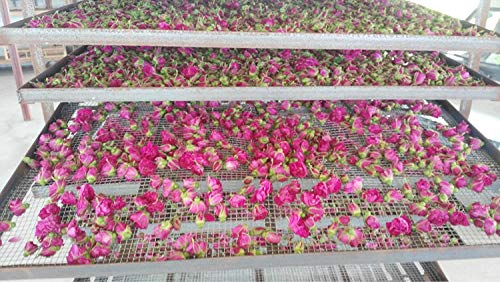 TooGet Brotes Naturales de Rosas Rojas Fragantes Pétalos de Rosa Flores Secas Al por Mayor - 225g