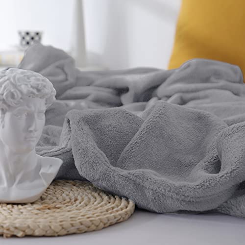 WAVVE Manta Franela Reversible para Cama 90, Manta para Sofá 150x200 cm, Manta de Microfibra, Suave, Cálida, Transpirable (Gris)