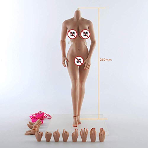 ZSMD Conjunto Completo Cuerpo De Silicona 1/6 Muñecas Tipo De Cuerpo Regordete Belleza Sexy Europea Y Americana (Cabeza Esculpida No Incluida)